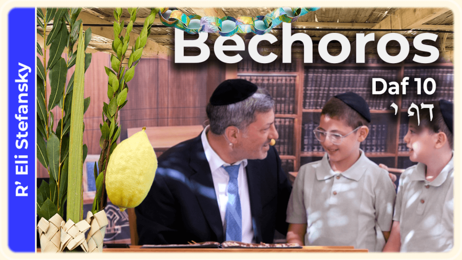 Daf Yomi Bechoros Daf 10 by R' Eli Stefansky