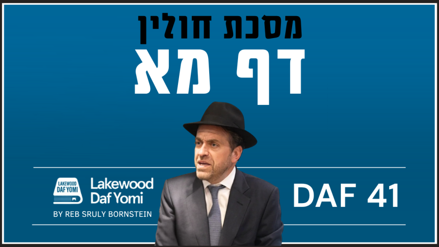 Chulin Daf 41 by Reb Sruly Bornstein