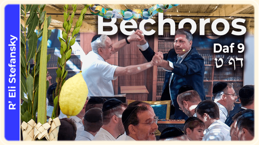 Daf Yomi Bechoros Daf 9 by R' Eli Stefansky