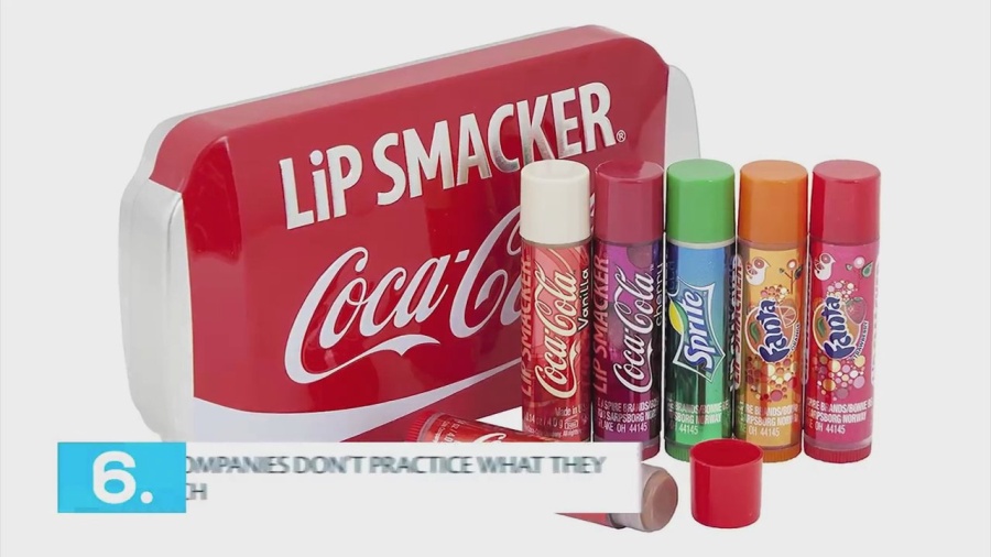 מצגת - השפעה של פלסטיק בעולם - Presentation - impact of plastic in the world