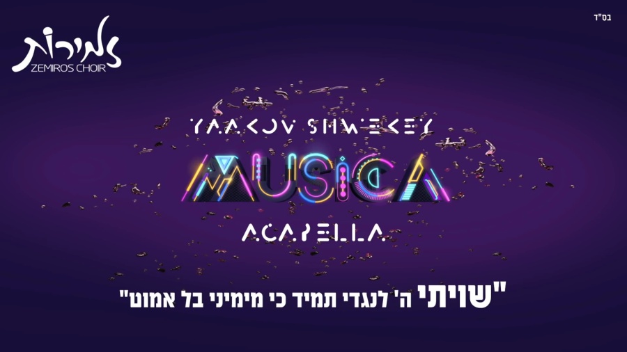 Shwekey & Zemiros | שויתי | Acapella Version