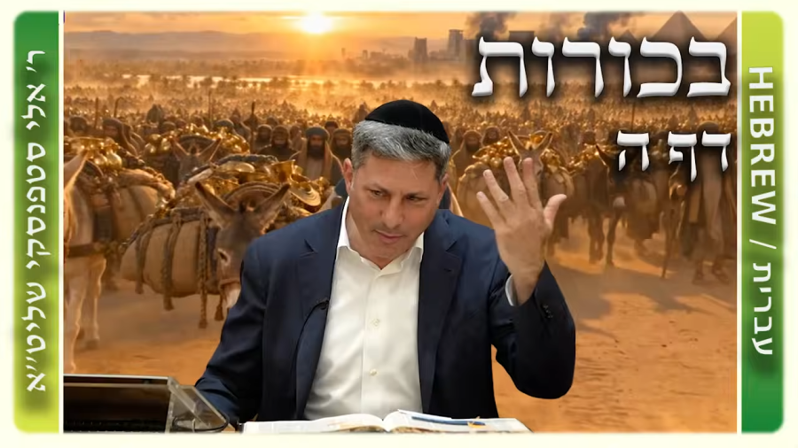 מרכז דף יומי - בכורות דף ה. - ר' אלי סטפנסקי שליט"א