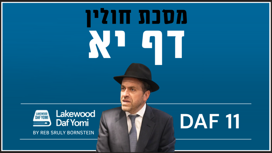 Chulin Daf 11 by Reb Sruly Bornstein