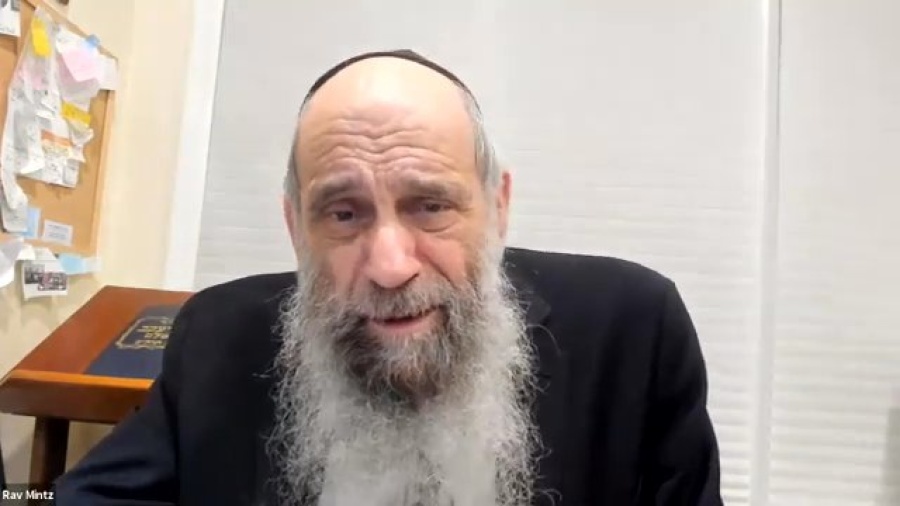 Why was eating meat only permitted after the Flood? | Ask the Rabbi Live with Rabbi Chaim Mintz