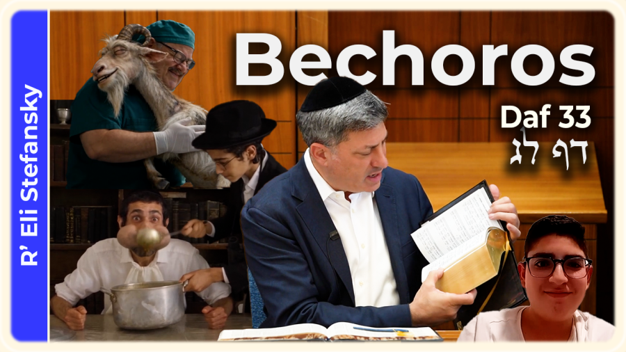 Daf Yomi Bechoros Daf 33 by R’ Eli Stefansky