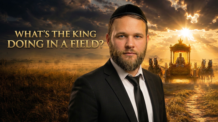 What Is The King Doing In A Field ?