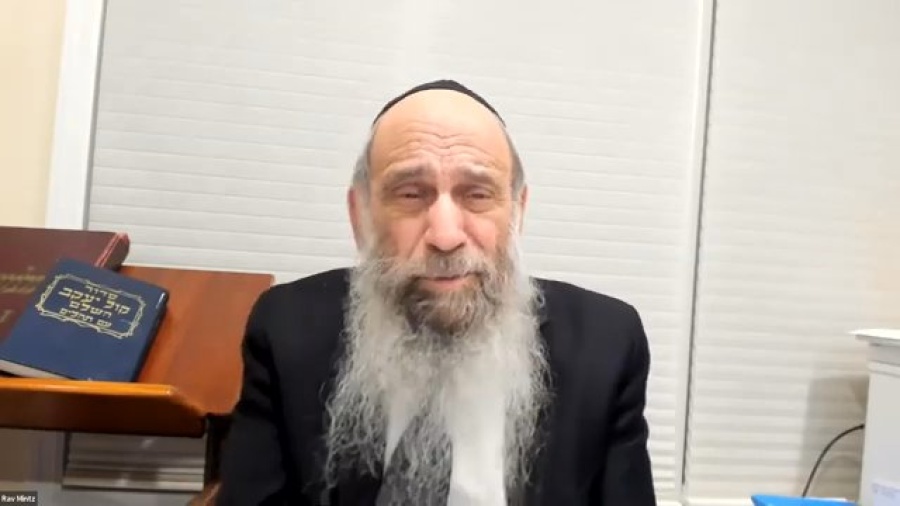 Should I become a professional or start a business? | Ask the Rabbi Live with Rabbi Chaim Mintz