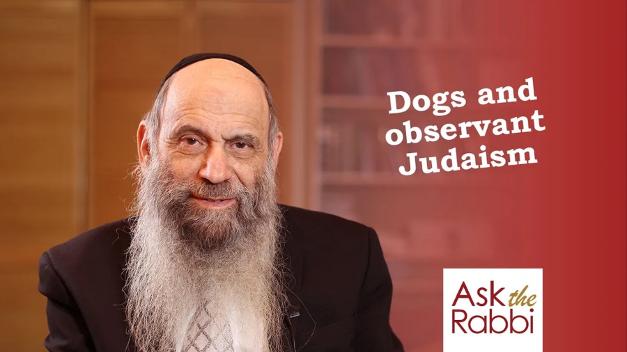 Now that we're observant should we get rid of our dog? | Ask the Rabbi Live with Rabbi Chaim Mintz