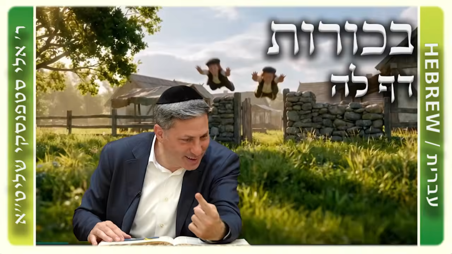 מרכז דף יומי - בכורות דף לה. - ר' אלי סטפנסקי שליט"א