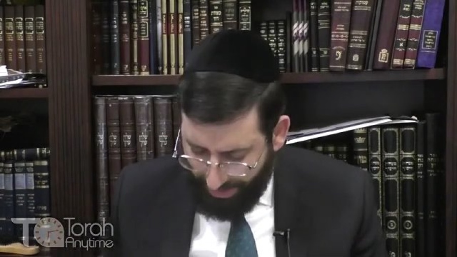 Parshas Va'eira - Rav Chaim Kanievsky Elucidates the Gra's Observation of Makkas Kinnim