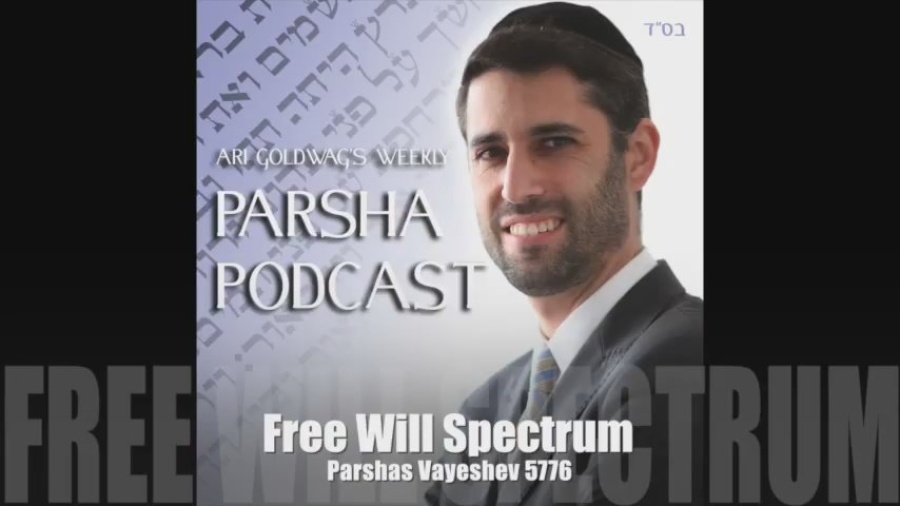 Ari Goldwag - Vayeshev - Free Will Spectrum