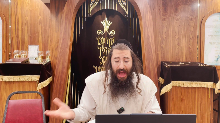 Shemoneh Perakim #35: Free Will and the Egyptians