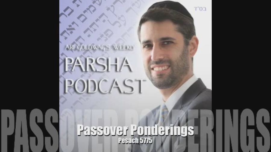 Pesach - Passover Ponderings