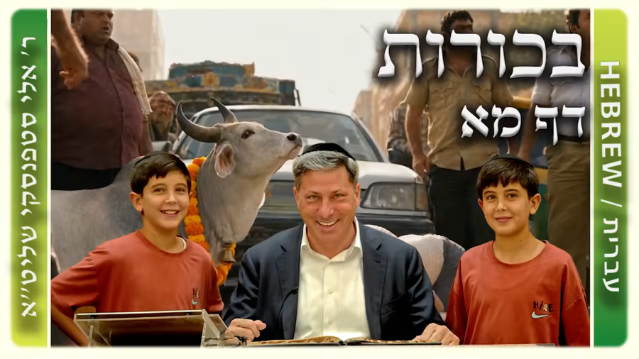מרכז דף יומי - בכורות דף מא. - ר' אלי סטפנסקי שליט"א
