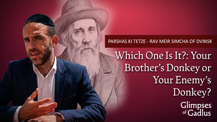 Ki Seitzei - the Meshech Chochma: Which One is It? Your Brother's Donkey or Your Enemy's Donkey?