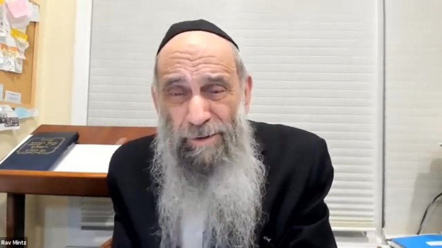 Are pets muktzah on Shabbos? | Ask the Rabbi Live with Rabbi Chaim Mintz