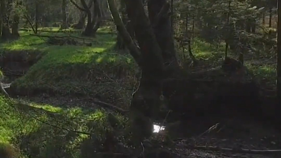 The Energy Of Jewish Time - Shoshana Judelman - A Kavana Short