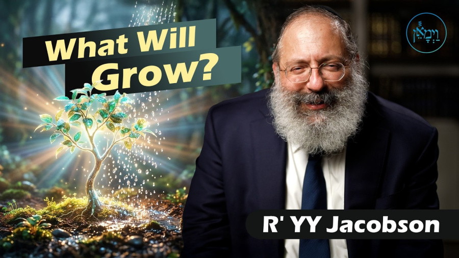 What Will Grow? | Rabbi YY Jacobson