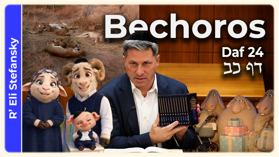 Daf Yomi Bechoros Daf 24 by R’ Eli Stefansky