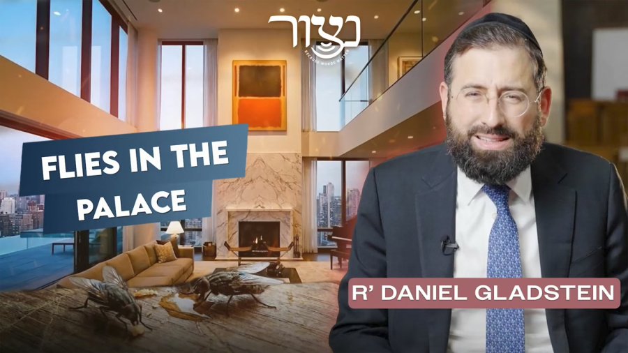 R' Daniel Gladstien - Flies in the Palace
