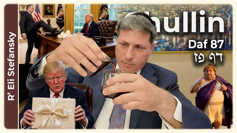 Daf Yomi Chullin Daf 87 by R' Eli Stefansky