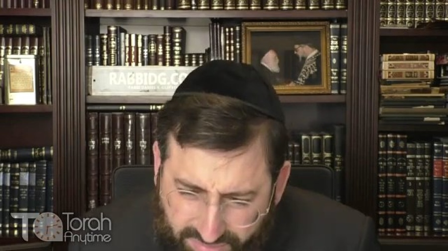 Pesach: Top 10 Divrei Torah of Maran Rav Chaim Kanievsky on the Haggadah