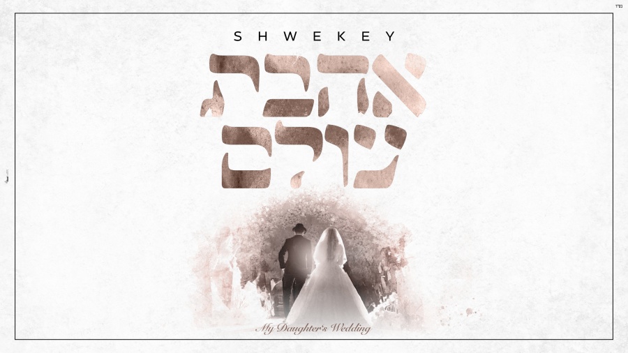 יעקב שוואקי Yaakov Shwekey - Never Letting Go