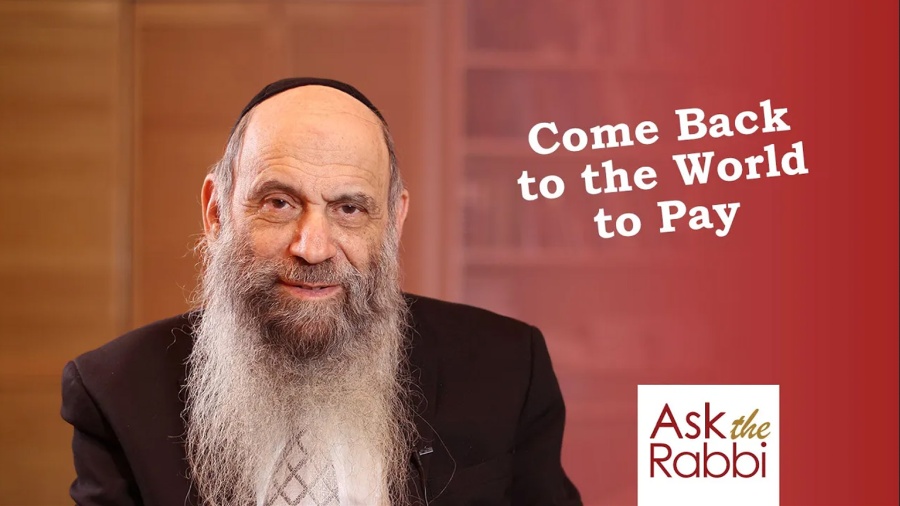 Will I come back to this world to repay my debts? | Ask the Rabbi Live with Rabbi Chaim Mintz