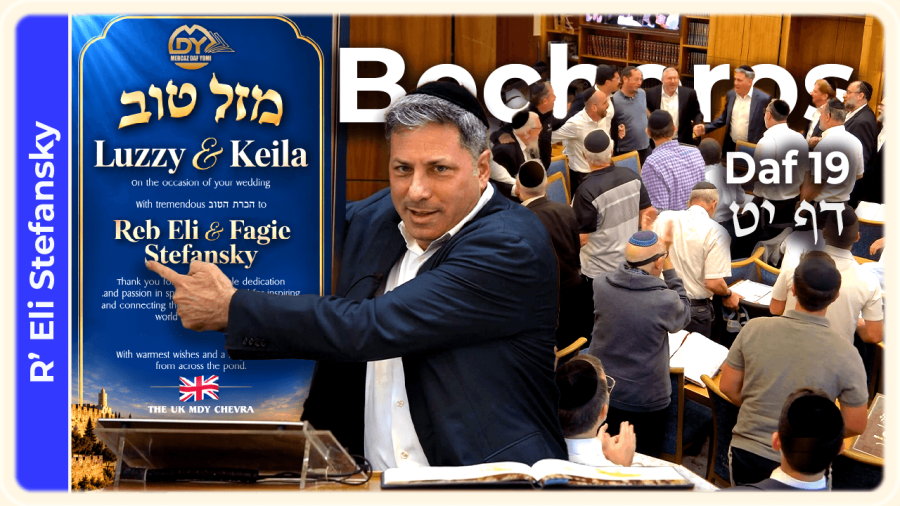 Daf Yomi Bechoros Daf 19 by R' Eli Stefansky