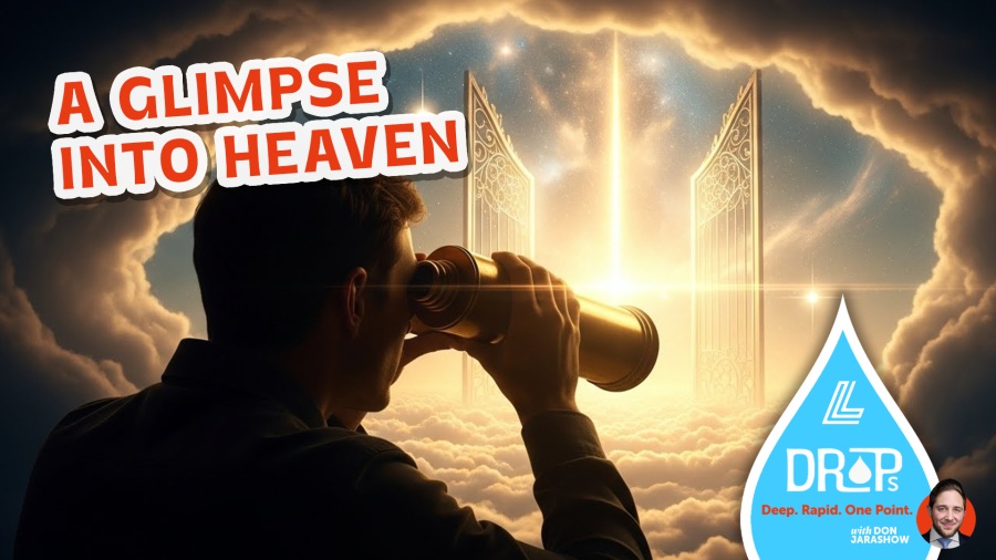 DROPS: A Glimpse Into Heaven | R' Don Jarashow