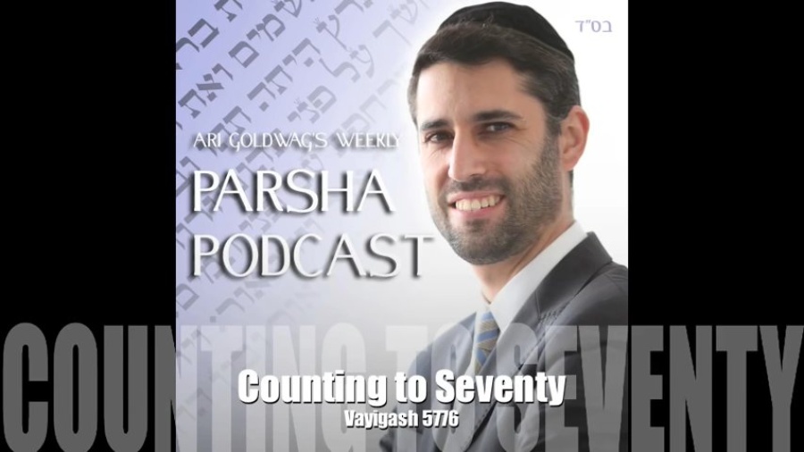 Ari Goldwag - Vayigash - Counting to Seventy