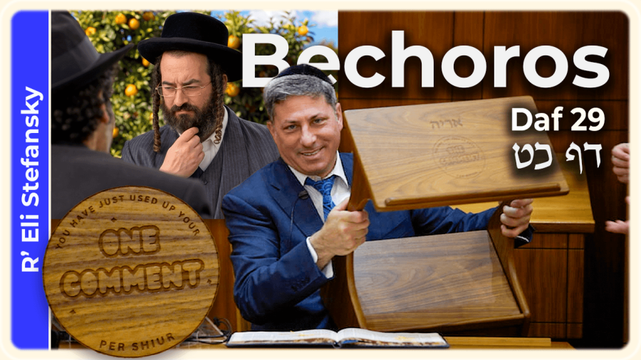 Daf Yomi Bechoros Daf 29 by R’ Eli Stefansky