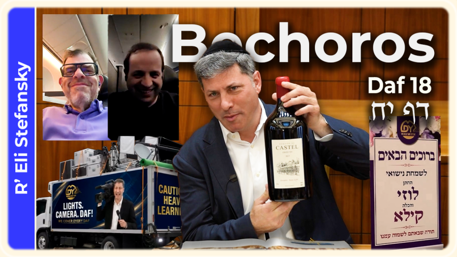 Daf Yomi Bechoros Daf 18 by R' Eli Stefansky