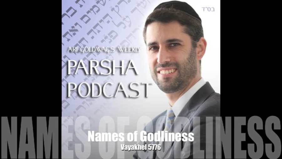 Ari Goldwag - Vayakhel - Names of G-dliness