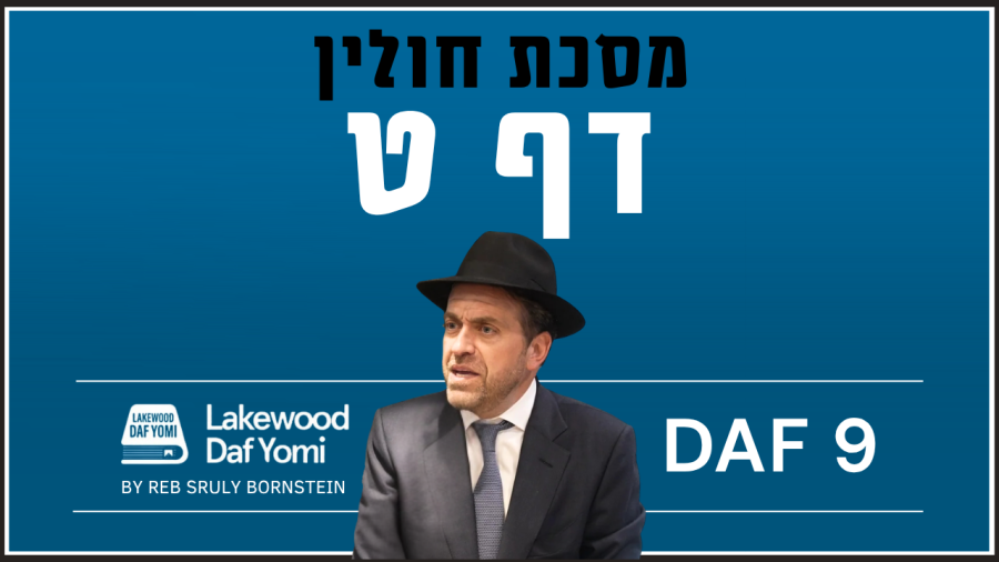 Chulin Daf 9 by Reb Sruly Bornstein