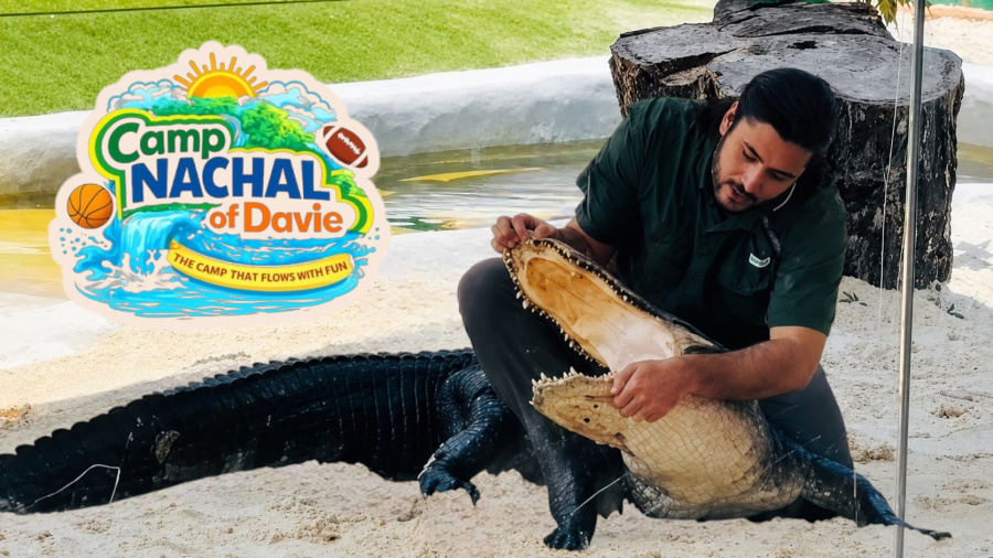 NACHAL OF DAVIE FLORIDA WEEKS 1-3