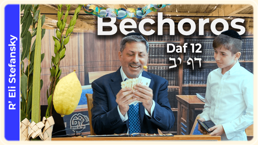 Daf Yomi Bechoros Daf 12 by R’ Eli Stefansky