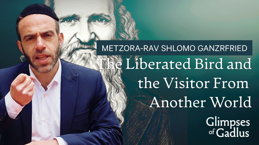 Metzora - The Liberated Bird and the Visitor From Another World - Rav Shlomo Ganzfried