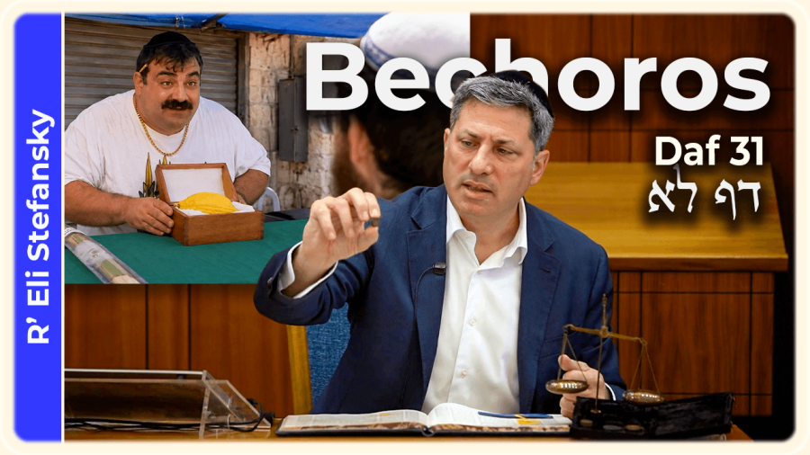 Daf Yomi Bechoros Daf 31 by R’ Eli Stefansky
