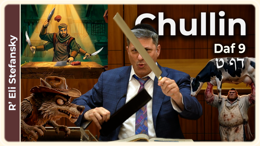 Daf Yomi Chullin Daf 9 by R' Eli Stefansky