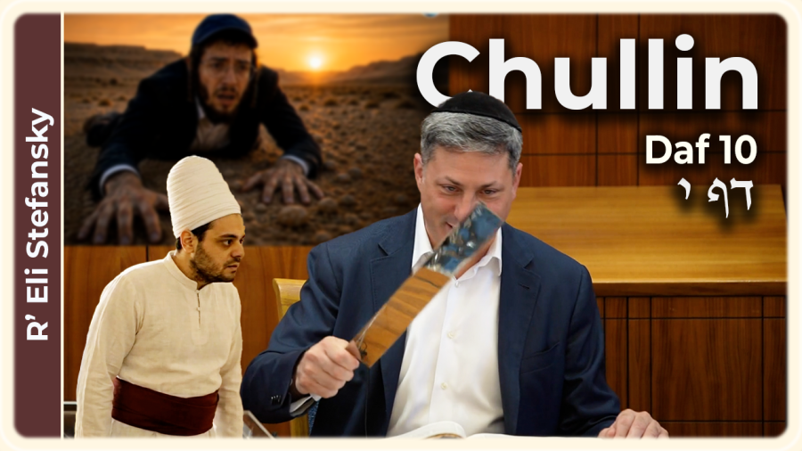 Daf Yomi Chullin Daf 10 by R’ Eli Stefansky