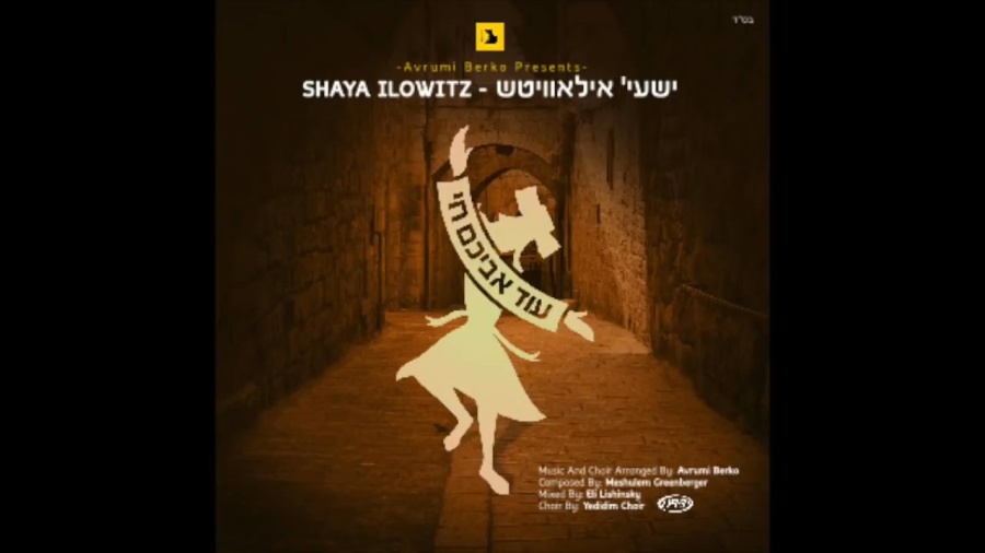 Shaya Ilowitz - Oid Avichem