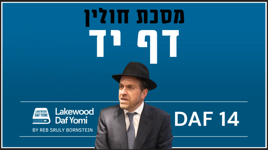 Chulin Daf 14 by Reb Sruly Bornstein