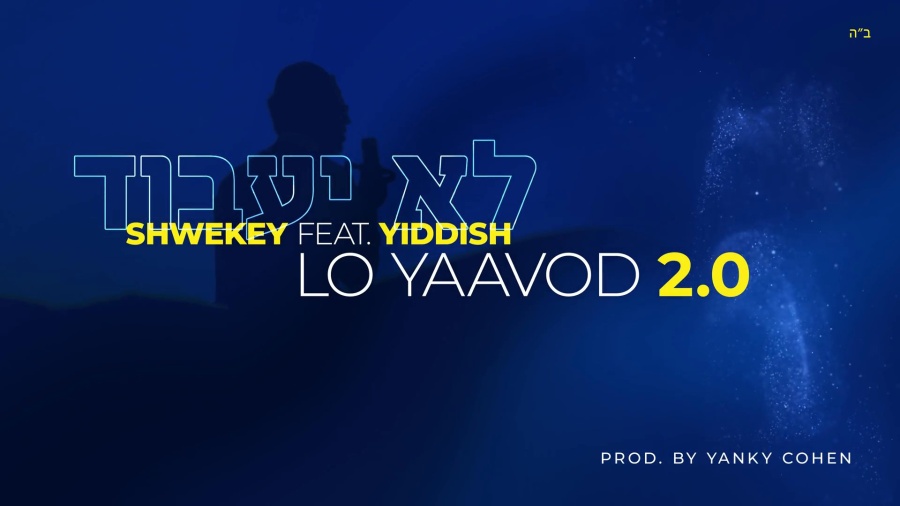 לא יעבוד 2.0 Shwekey ft. Yiddish