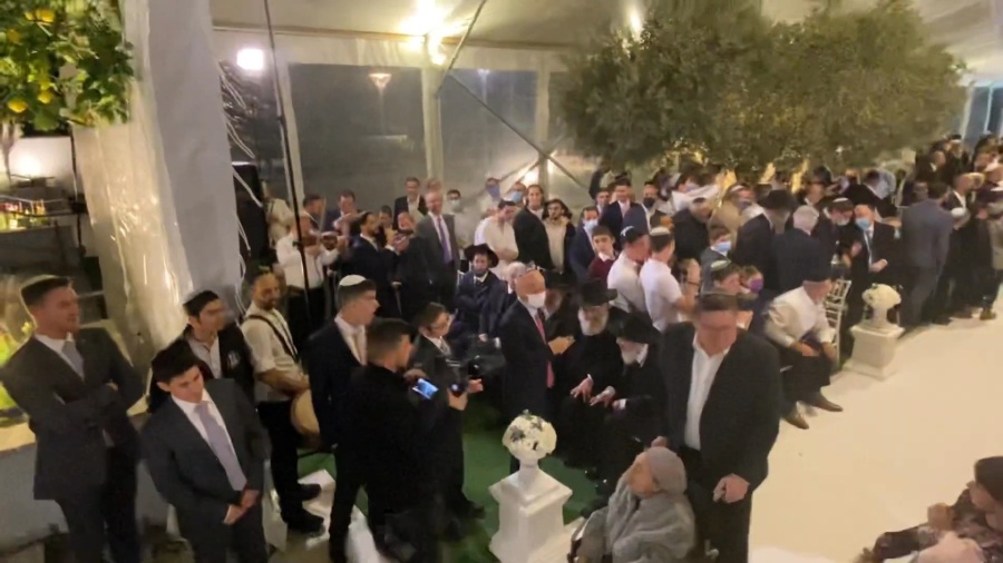 “Ilan” at Yosef and Batsheva Green’s Chuppah