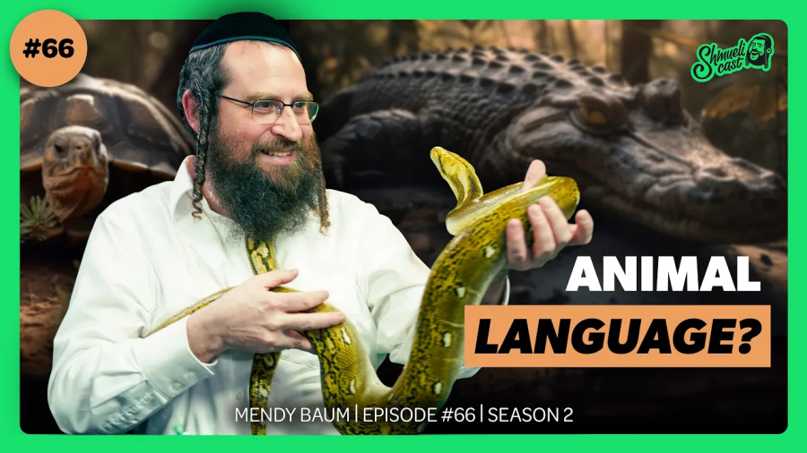 "Do We Have a Common Language?" | Mendy Baum - ShmueliCast Ep. 66