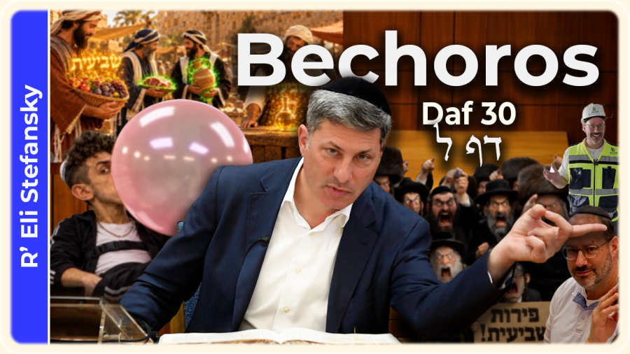 Daf Yomi Bechoros Daf 30 by R' Eli Stefansky