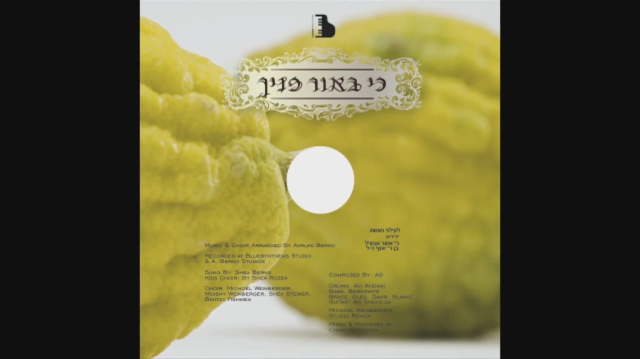 Toras chayim music, choir Arr by A berko sung by shea berko