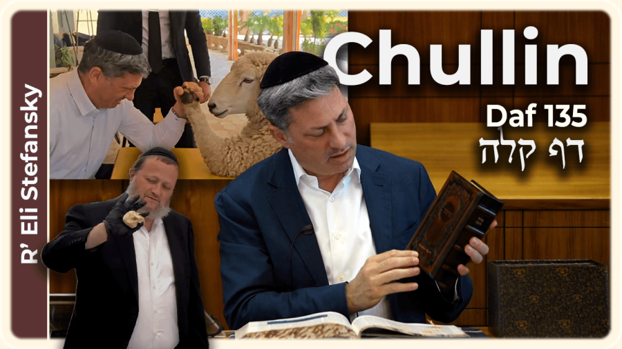 Daf Yomi Chullin Daf 135 by R' Eli Stefansky