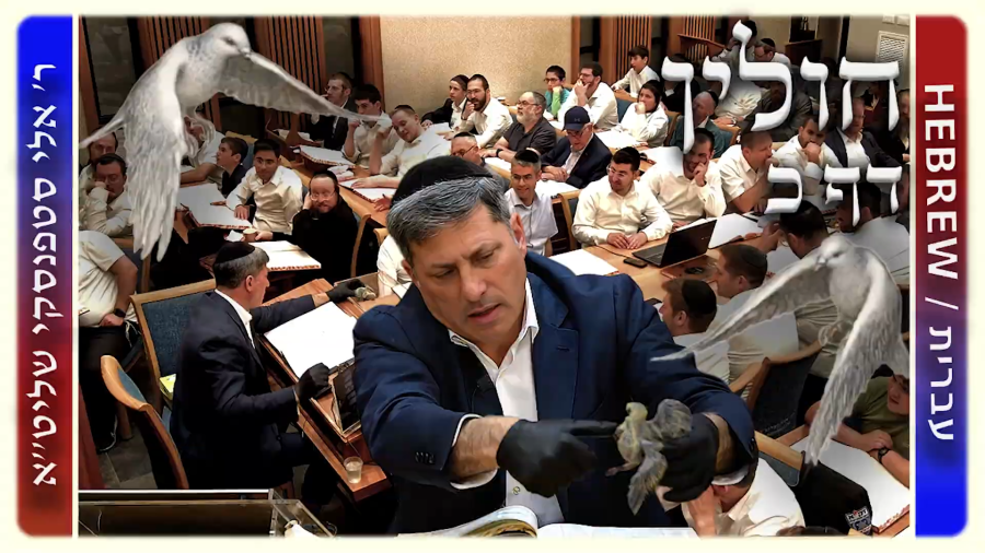 מרכז דף יומי - חולין דף כ. - ר' אלי סטפנסקי שליט"א